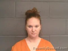 Mugshot of SARAH ELAINE FINCHUM