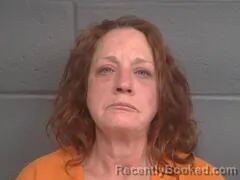 Mugshot of TERESA ANN HAYNES