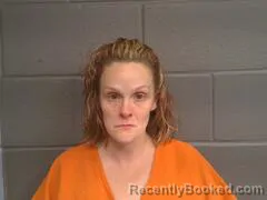 Mugshot of JENNIFER RAYLEAN GROGG