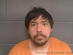 Mugshot of CASSION ELLIS MCCLAIN