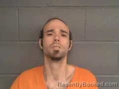 Mugshot of DONOVAN BRENT RYAN