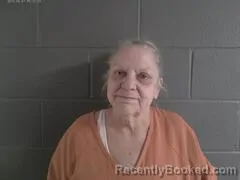 Mugshot of TAMARA LEE FLORES