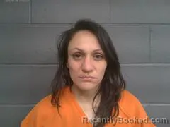 Mugshot of MEGHAN ELIZABETH JONES