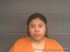 Mugshot of BRANDI MARIE BROWN booked in Mayes County, Oklahoma on April 23, 2026