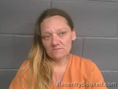 Mugshot of DELANA MICHELLE WILSON booked in Mayes County, Oklahoma on June 13, 2026
