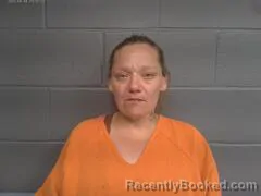 Mugshot of DELANA MICHELLE WILSON booked in Mayes County, Oklahoma on June 23, 2026