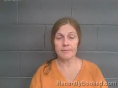 Mugshot of HEATHER ELIZABETH ABBOTT booked in Mayes County, Oklahoma on June 29, 2026