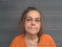 Mugshot of ROBIN LYNN WILKINSON booked in Mayes County, Oklahoma on July 10, 2026