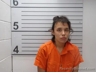 Mugshot of ELISE MORGAN ANDERSON booked in Muskogee County, Oklahoma on April 24, 2026