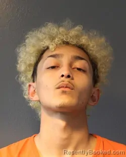 Mugshot of ALFONSO ALVAREZ