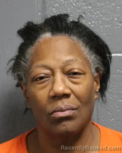 Mugshot of Audrey Denise Bonner