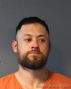 Mugshot of ALEX DELEON