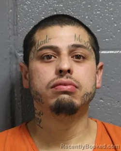 Mugshot of ANDY ANTHONY DURAN