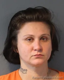 Mugshot of AMANDA ANN DOBBS