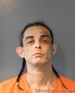 Mugshot of ANTHONY EDGARDO PINEDA