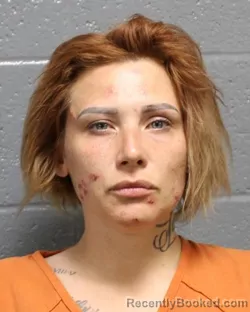 Mugshot of AMANDA TAYLOR WIGGINS booked in Oklahoma County, Oklahoma on March 21, 2026