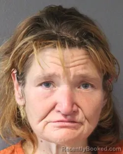 Mugshot of BIANA DELIA JOHNSON booked in Oklahoma County, Oklahoma on June 21, 2026