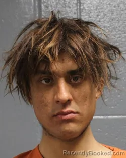 Mugshot of BRYAN ALEXANDER LEWIS