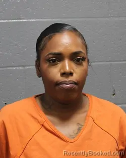 Mugshot of BRITNEY PRICE booked in Oklahoma County, Oklahoma on March 26, 2026