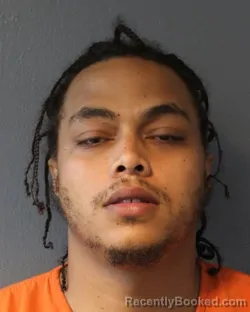 Mugshot of CHRISTIAN LATTERL JOHNSON