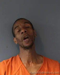 Mugshot of CORTEZ NATHANIEL MEADOWS