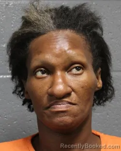 Mugshot of CILIA MARIE WILLIAMSON booked in Oklahoma County, Oklahoma on June 26, 2026