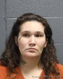 Mugshot of DOLORES ANDERSON