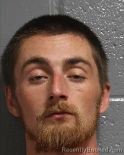 Mugshot of DYLAN WAYNE BUXTON