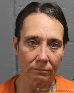 Mugshot of DENISE MARION CLIMER