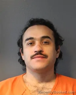 Mugshot of DAVID ESCOBAR
