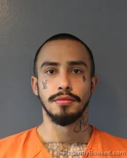 Mugshot of DIEGO B GINEZ