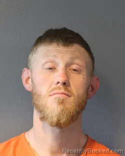 Mugshot of DEVIN KYLE LEWIS