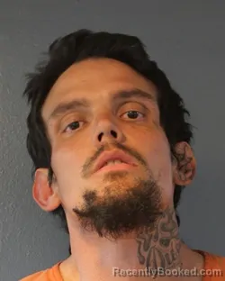 Mugshot of DUSTIN RAY MATTHEW LAMSON