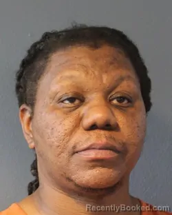 Mugshot of DENNIS CHARLES MITCHELL