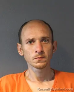 Mugshot of DARREN THOMAS WILLIAMS