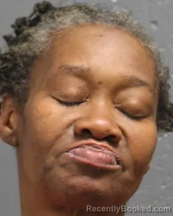 Mugshot of DANA ROSHON WALKER