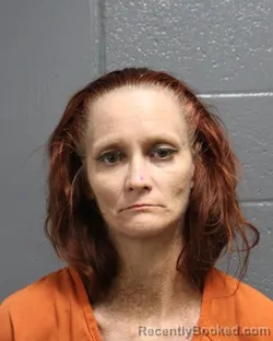Mugshot of ELIZABETH MICHELLE PRISOCK booked in Oklahoma County, Oklahoma on June 29, 2026