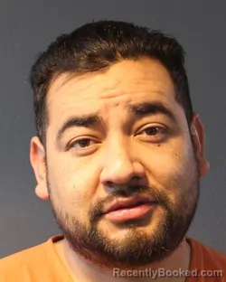 Mugshot of EDGAR ROMAN