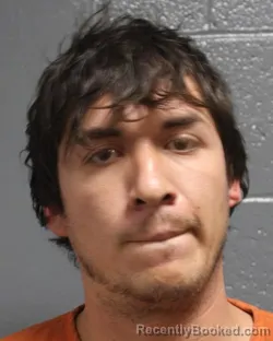 Mugshot of ENRIQUE SALDIVAR