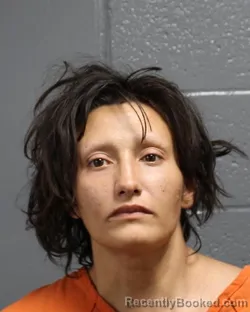 Mugshot of ERICA CONCEPCION TOLEDO booked in Oklahoma County, Oklahoma on May 31, 2026