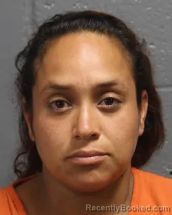 Mugshot of FABIOLA ORTIZ GUERERRO