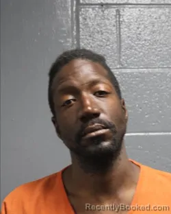 Mugshot of GREGORY LAW