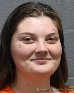 Mugshot of HANNAH OLIVIA HORTON