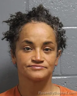 Mugshot of JAMIE MICHELLE BROWN