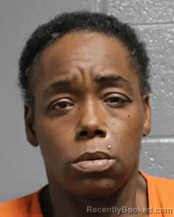 Mugshot of JASMINE NICOLE HARMON booked in Oklahoma County, Oklahoma on March 26, 2026