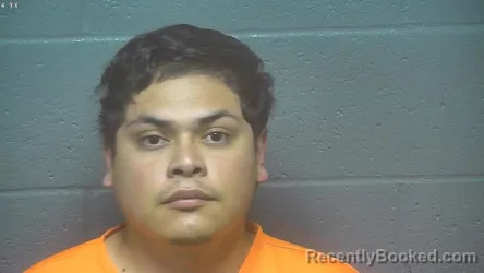 Mugshot of JOSE PEREZ