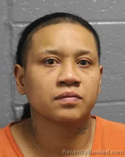 Mugshot of JESSICA MARY PISARIK