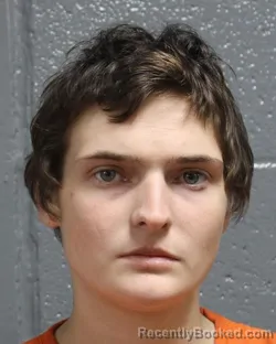 Mugshot of JAMIE LYNN TERHUNE