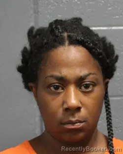 Mugshot of Krystel Prien