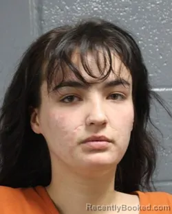 Mugshot of LYDIA SUZANNE EVANS